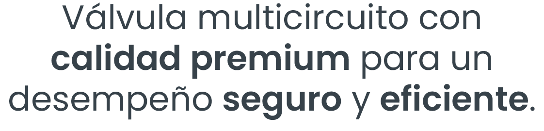 Válvula multicircuito con calidad premium para un desempeño seguro y eficiente.