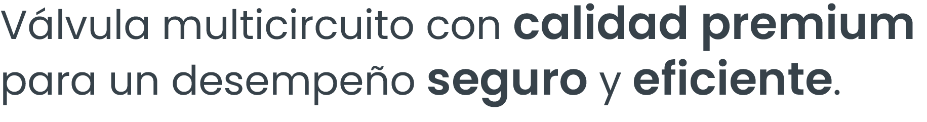 Válvula multicircuito con calidad premium para un desempeño seguro y eficiente.